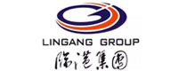 Lingang‑Group
